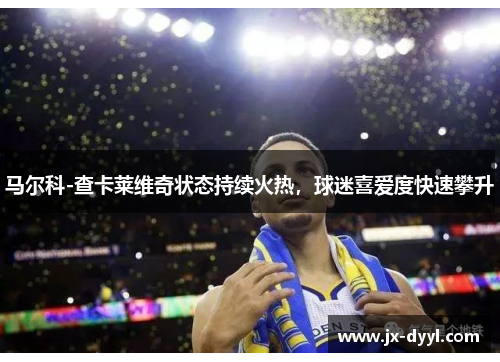 马尔科-查卡莱维奇状态持续火热，球迷喜爱度快速攀升